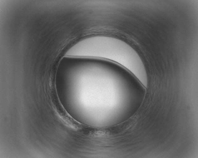 X0000080660546200612150738