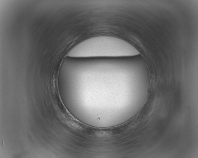 X0000080660549200612150738