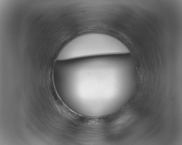 X0000080660550200612150738