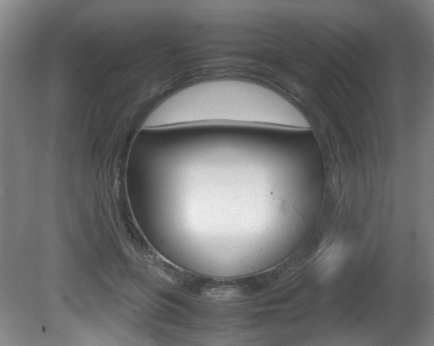 X0000080660551200612150738