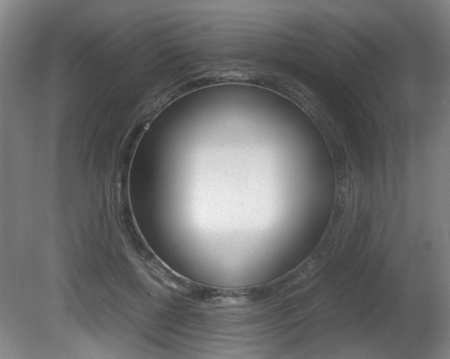 X0000080660552200612150738