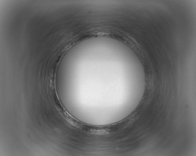 X0000080660553200612150738