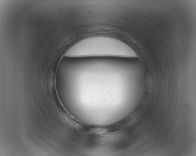 X0000080660554200612150738