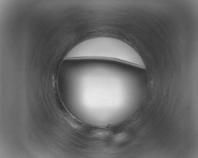 X0000080660555200612150738