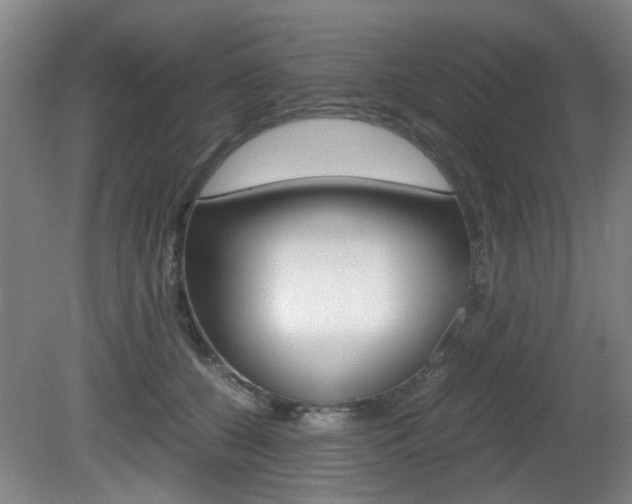 X0000080660560200612150738