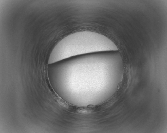 X0000080660561200612150738
