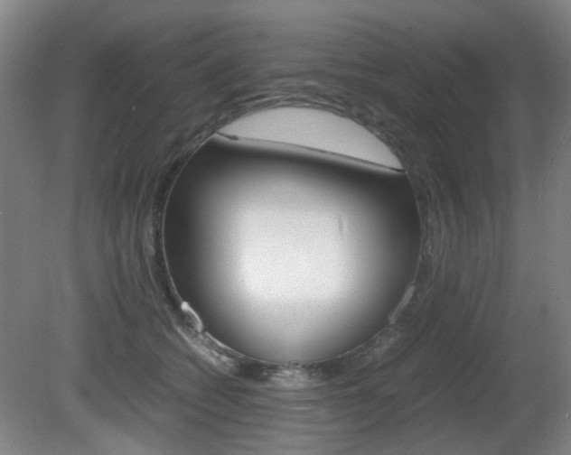 X0000080660562200612150738