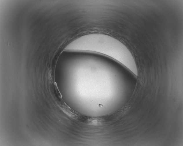X0000080660564200612150738