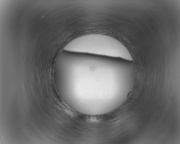 X0000080660565200612150738