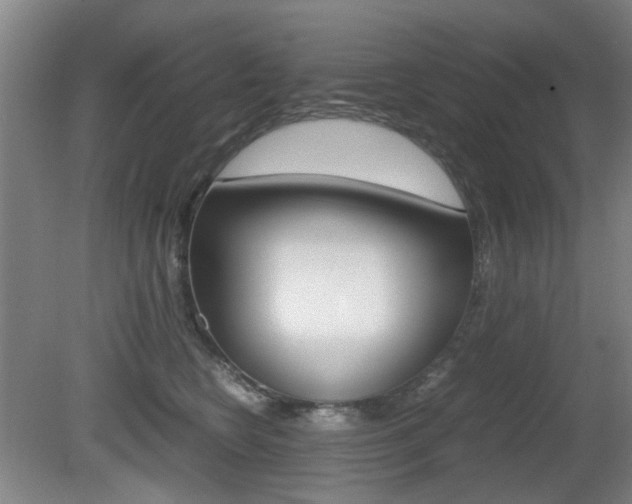 X0000080660566200612150738