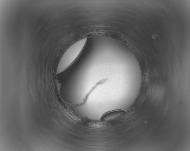 X0000080660567200612150738