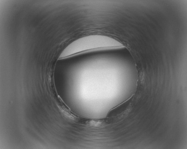 X0000080660570200612150738