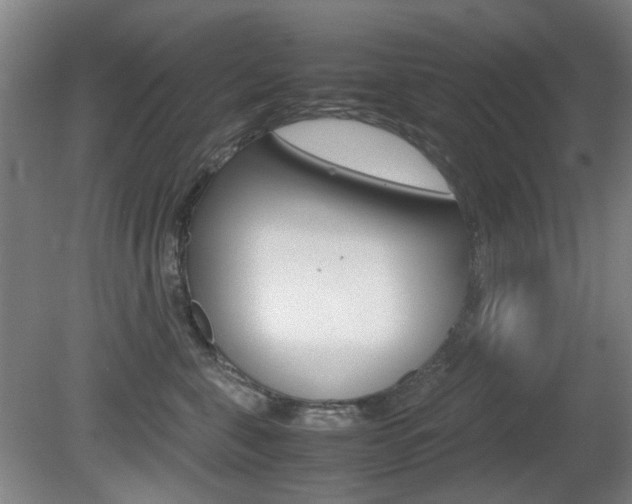 X0000080660571200612150738
