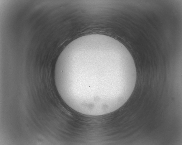 X0000080660572200612150738