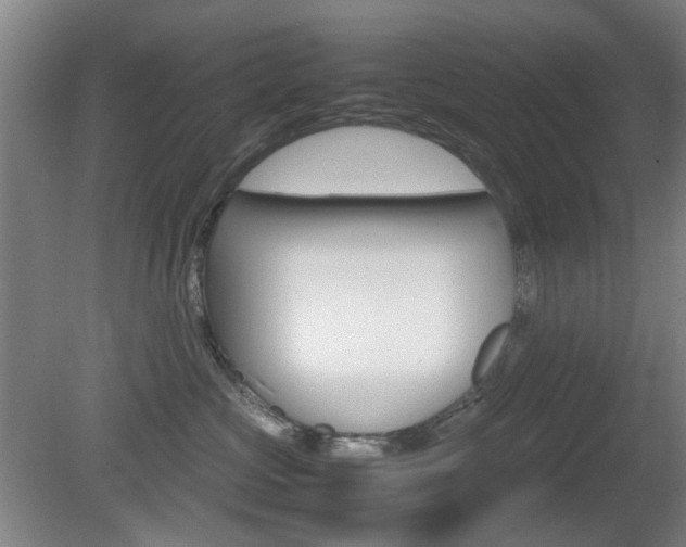 X0000080660573200612150738