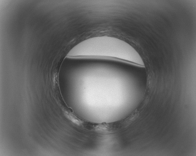 X0000080660574200612150738