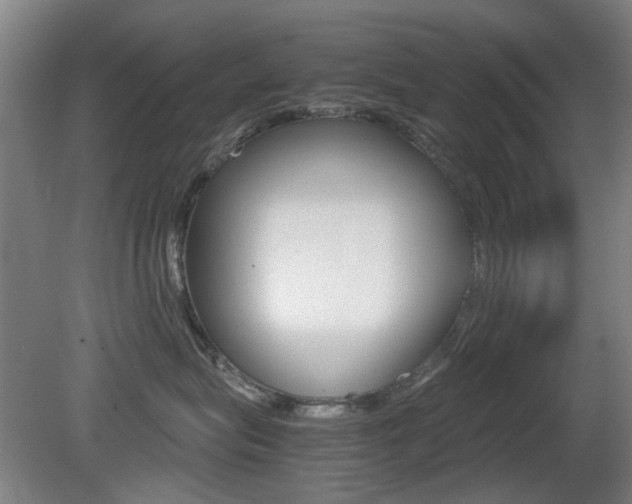X0000080660575200612150738