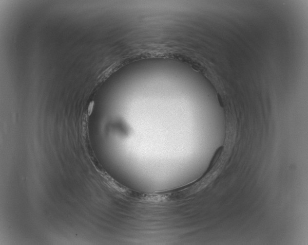X0000080660576200612150738