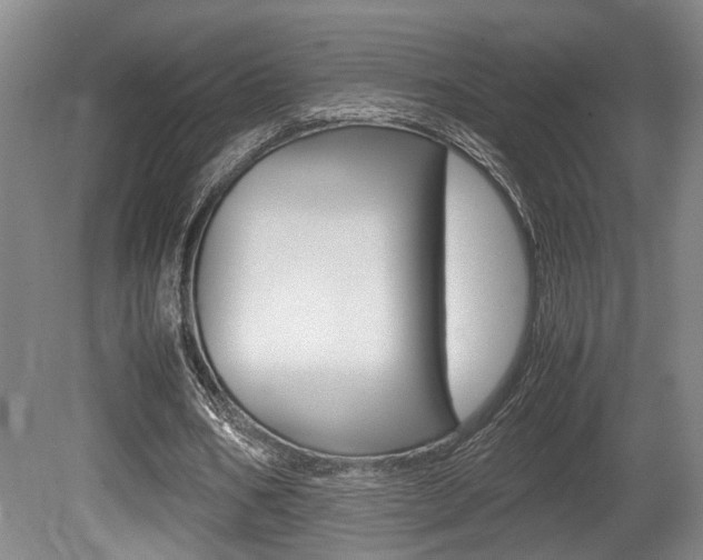X0000080660578200612150737