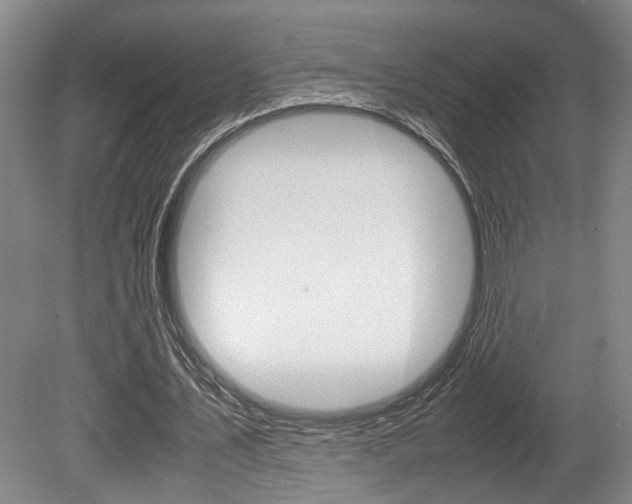 X0000080660579200612150737