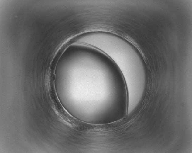 X0000080660580200612150737
