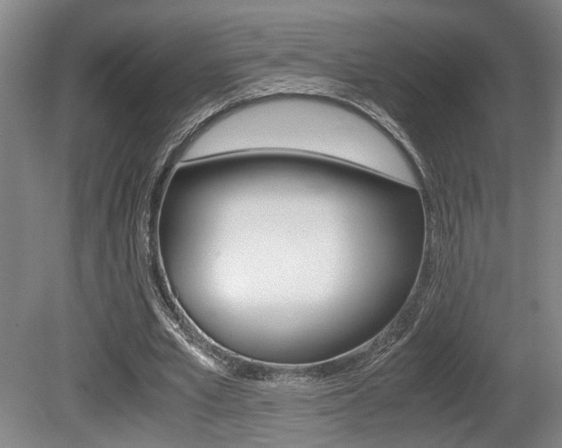 X0000080660581200612150737