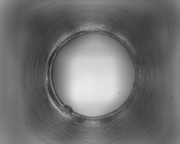 X0000080660582200612150737
