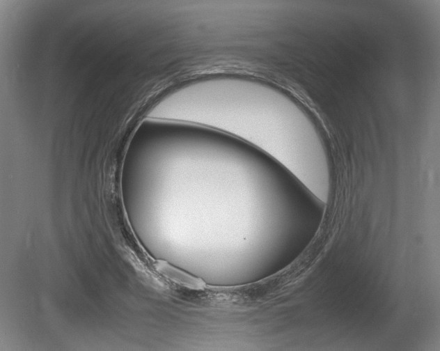 X0000080660585200612150737