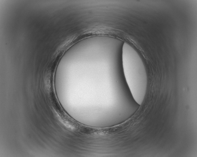 X0000080660586200612150737