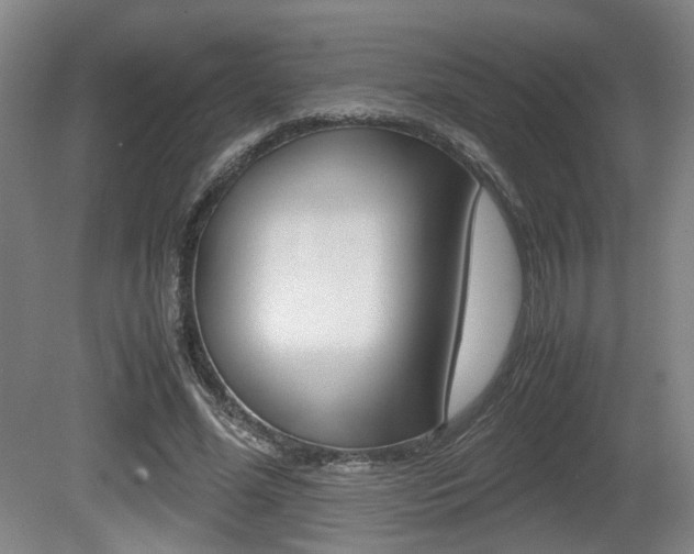 X0000080660588200612150737