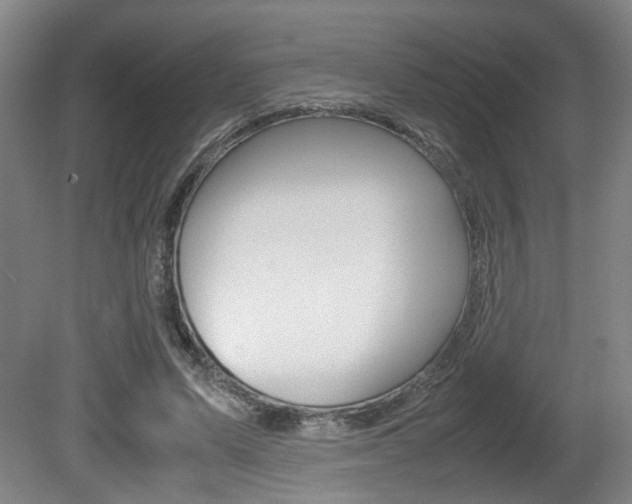 X0000080660591200612150737