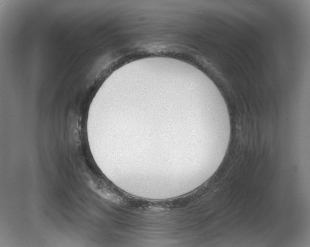 X0000080660592200612150737