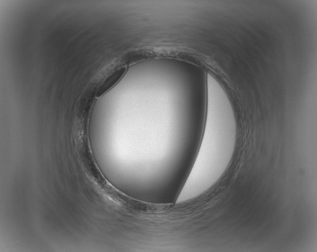 X0000080660593200612150737