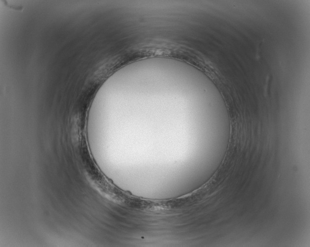 X0000080660594200612150737