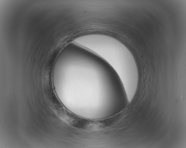 X0000080660595200612150737