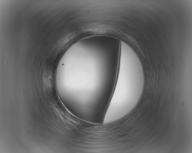 X0000080660596200612150737