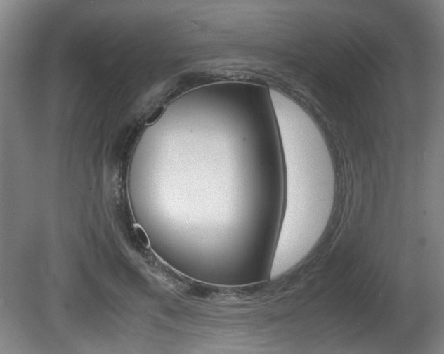 X0000080660597200612150737