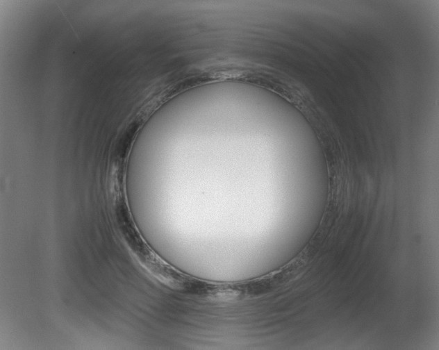 X0000080660598200612150737