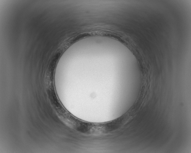 X0000080660599200612150737