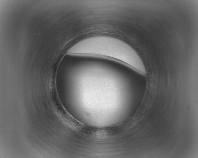 X0000080660600200612150737