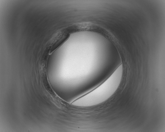 X0000080660601200612150737