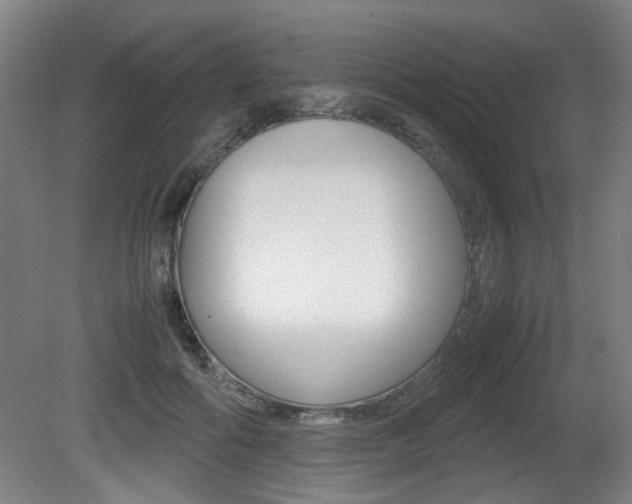 X0000080660602200612150737