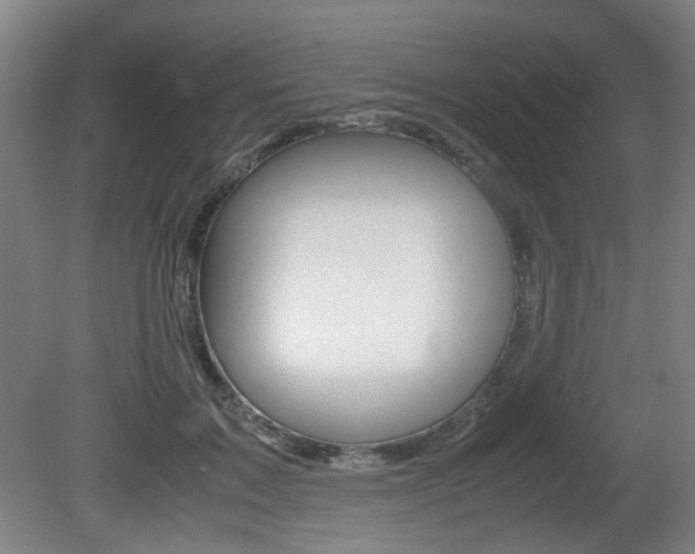 X0000080660603200612150737