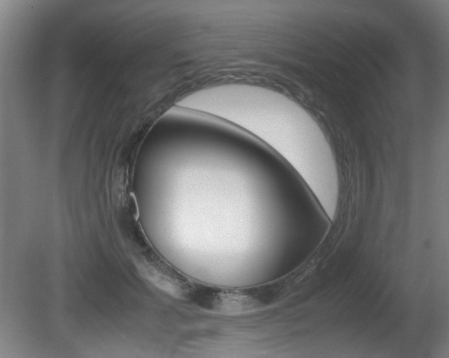 X0000080660605200612150737