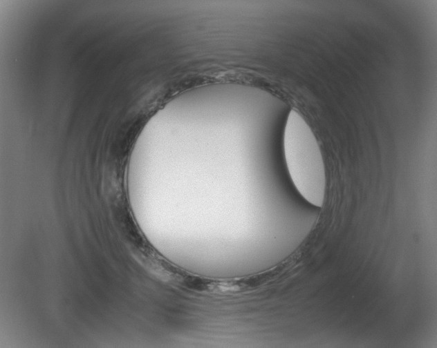 X0000080660607200612150737