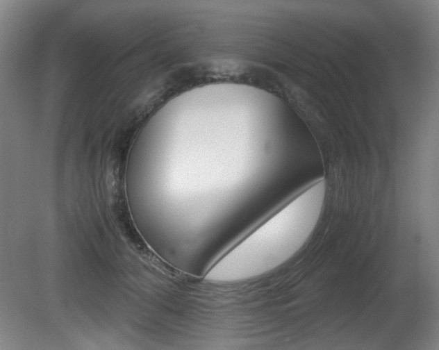 X0000080660608200612150737