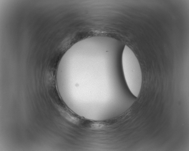 X0000080660614200612150737