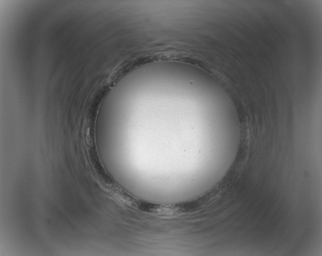 X0000080660615200612150737