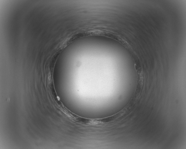X0000080660617200612150737