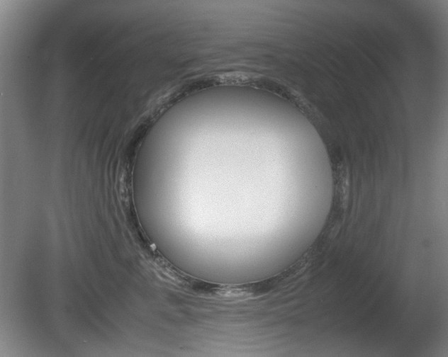 X0000080660619200612150737